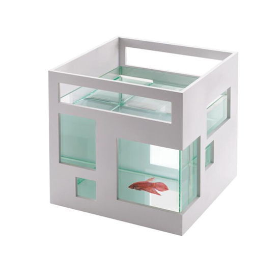 fishcondo3