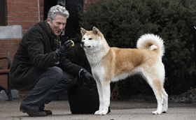 Hachiko – sziruposnak tűnik, de nem az