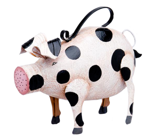 wateringcan_spottedpig