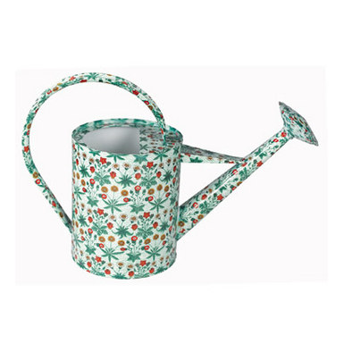 wateringcan_va