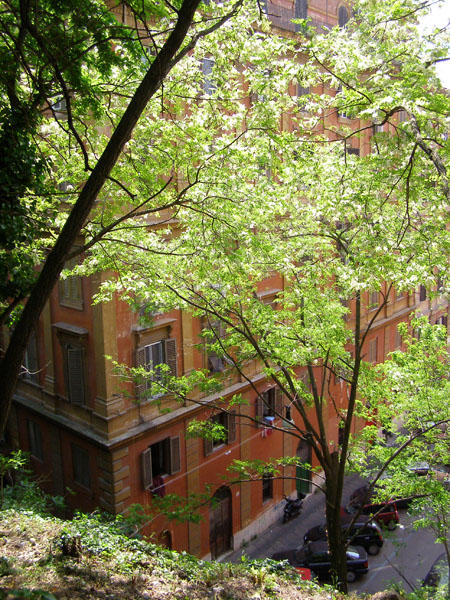 x_trastevere7