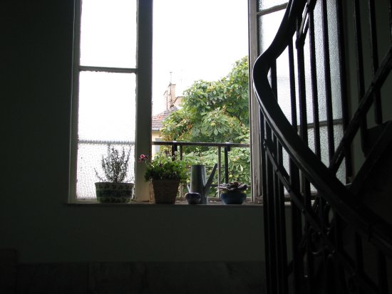 fotó: Myreille