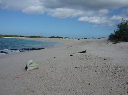 galapagos02