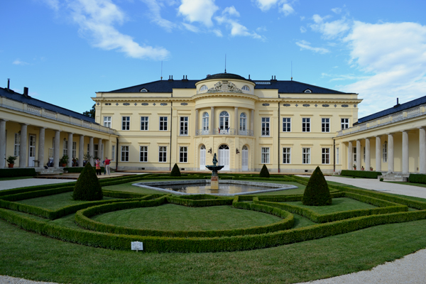 fehervarcsurgo02