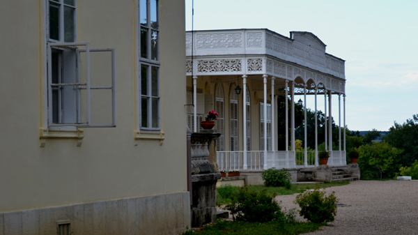 fehervarcsurgo06