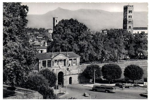 vintagepostecardlucca13