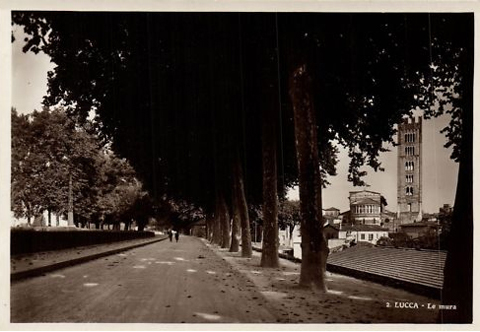 vintagepostecardlucca19