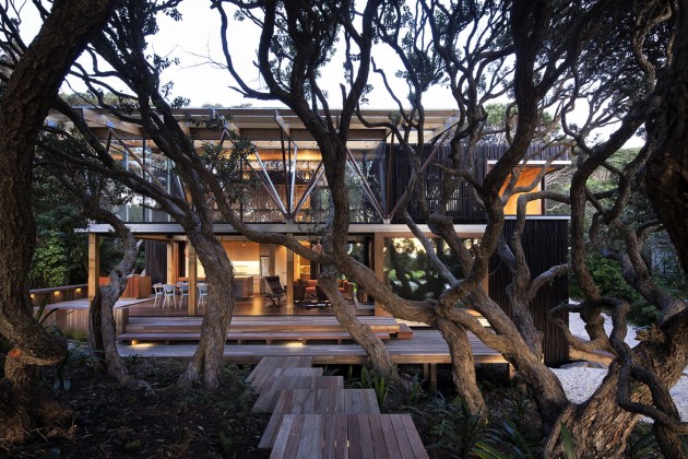POHUTUKAWA03