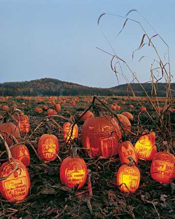 pumpkin-grave