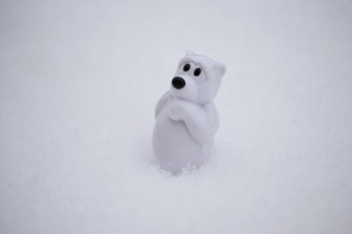 polarpanic03