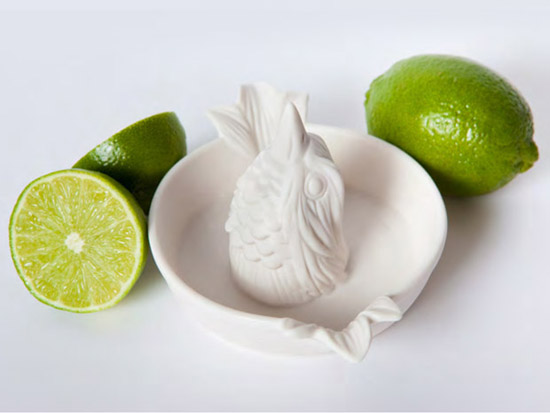 Imm_Living_Dr.Bird02