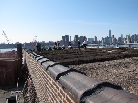 rooftopfarms04