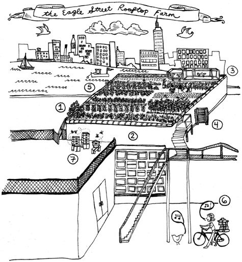 rooftopfarms10