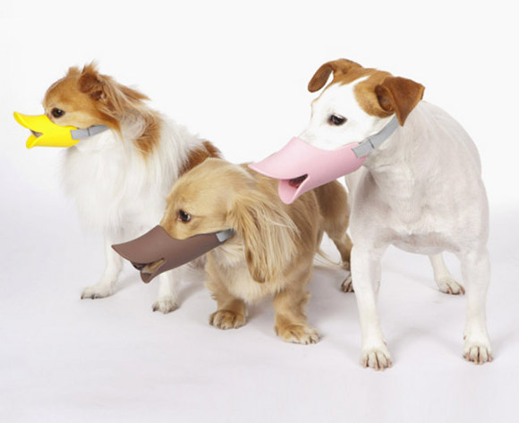 DuckBilledDogs02