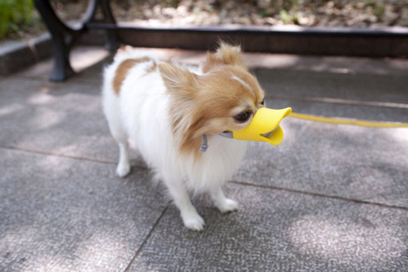 DuckBilledDogs03