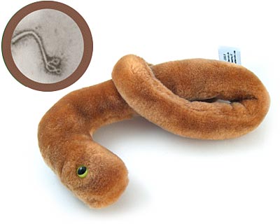 gigabacik_bacteria_ebola_nagy