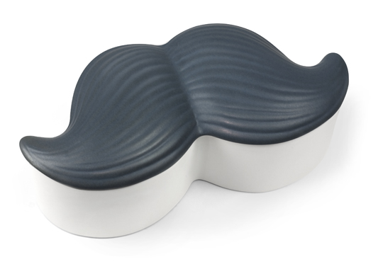 stachebox01