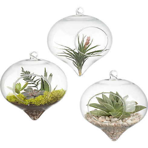 airplantsornament05