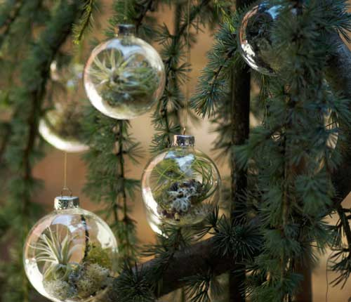 airplantsornament06