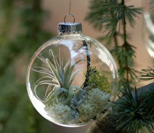 airplantsornament07