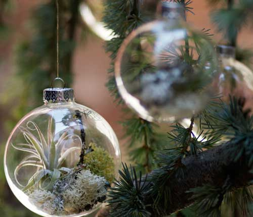 airplantsornament08