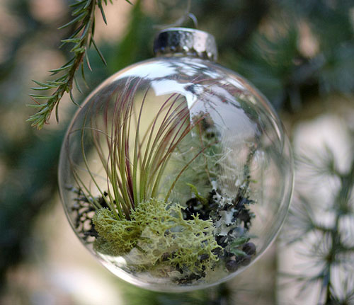 airplantsornament09