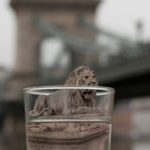 Egy pohár vizet át a világ - Budapesti kitérő