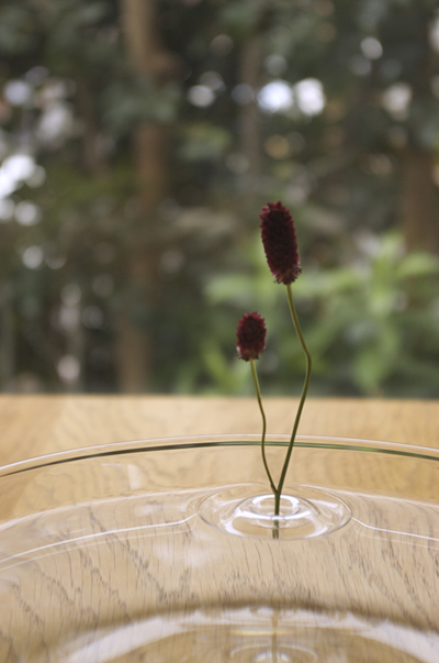 oodesign-Floating-Vases-7