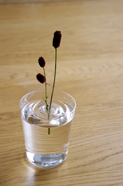 oodesign-Floating-Vases-8