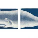 A nagy bálna-show: a vajtartótól a falmatricáig