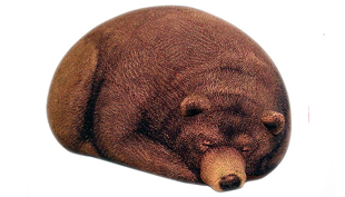 Grizzly-Bear-Bean-Bag01