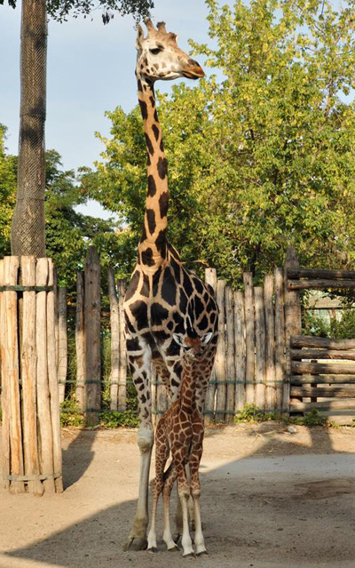 sempala02