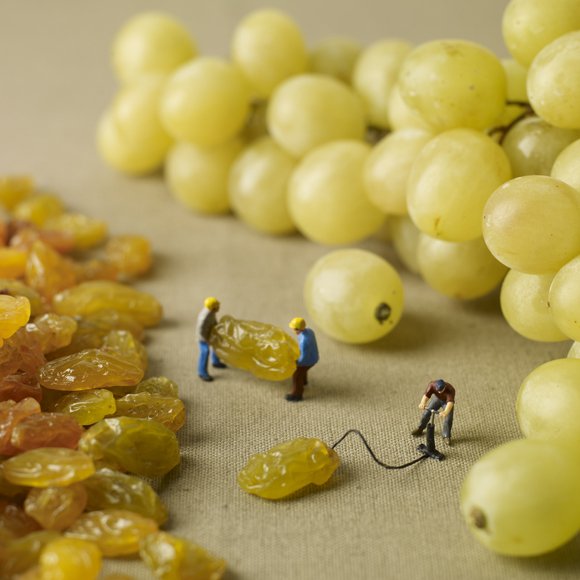 minimiam17