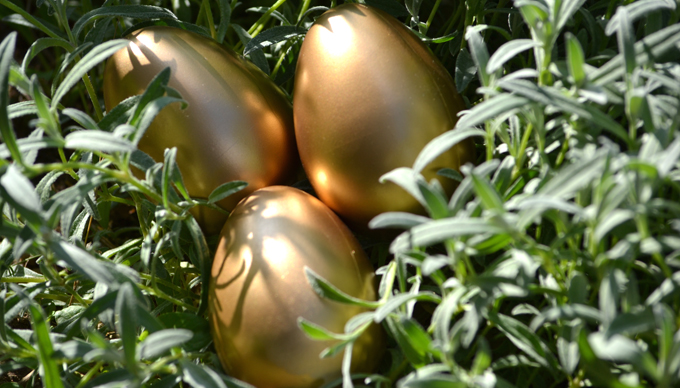 goldenegg01