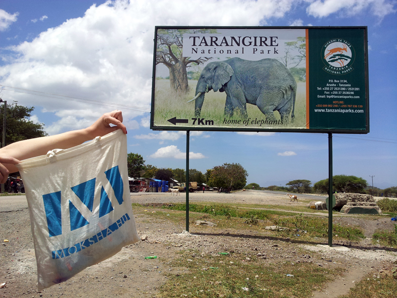 Tarangire National Park, Tanzania (Fotó: Edit, 2014)