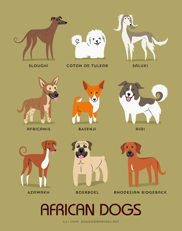 Illustrated-Guide-to-Dogs-of-the-World-1