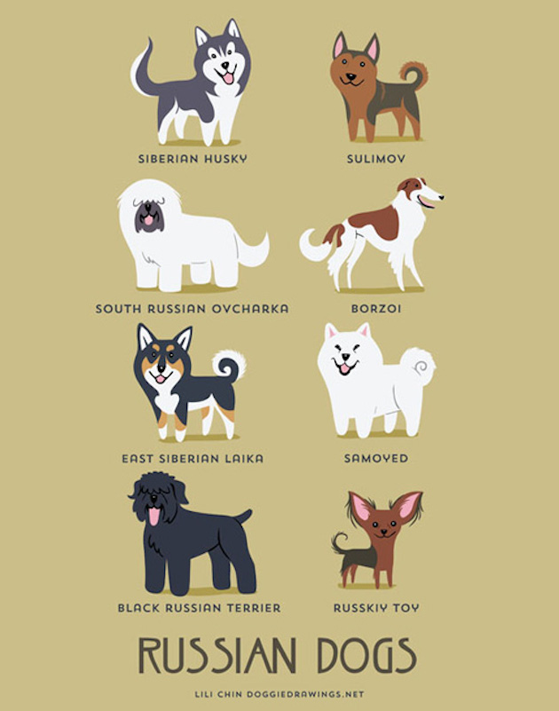 Illustrated-Guide-to-Dogs-of-the-World-2