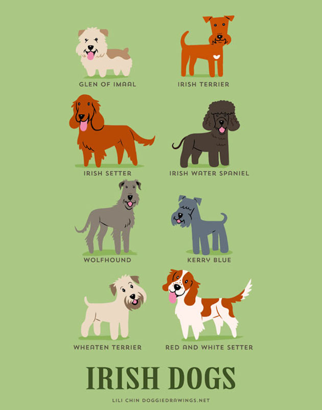 Illustrated-Guide-to-Dogs-of-the-World-7