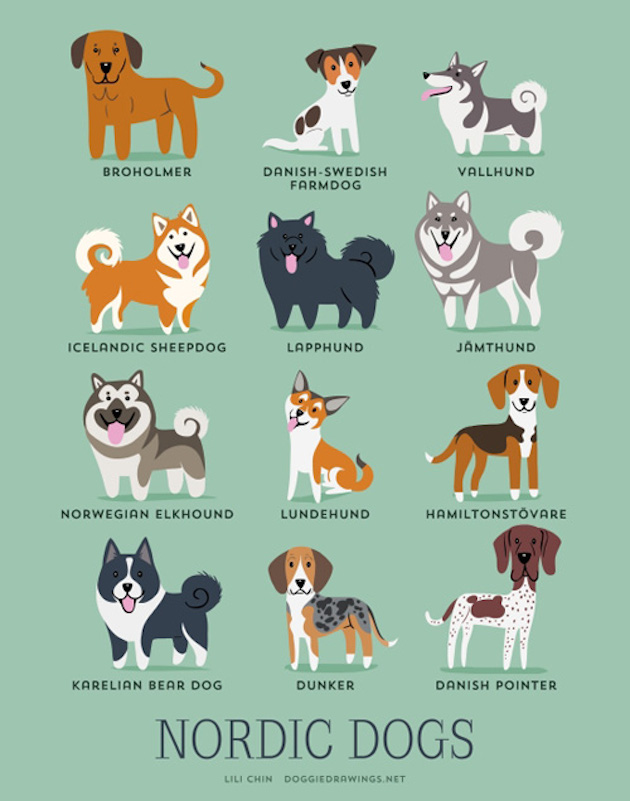 Illustrated-Guide-to-Dogs-of-the-World-9
