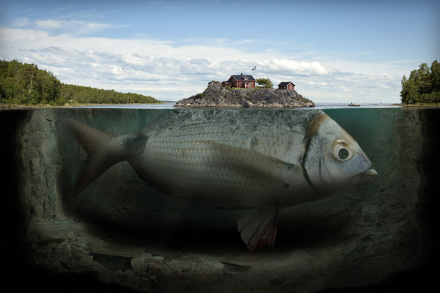 erikjohansson01-fishy-island