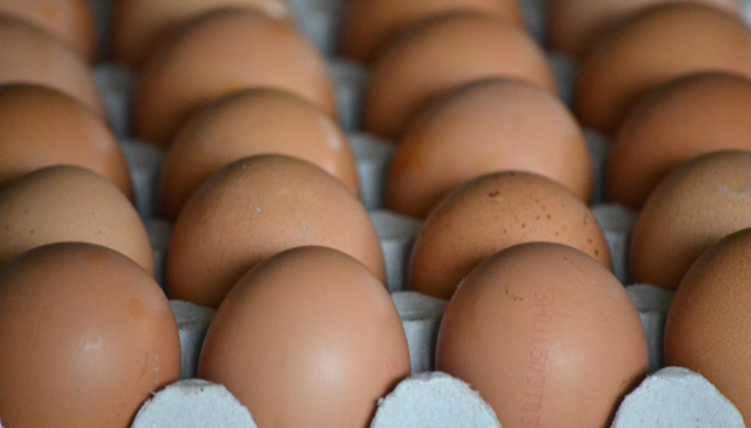 Bolti tojások/Fotó: Myreille