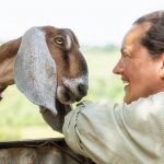 A kuncogó kecske titkai – mi a jó egy farmban?