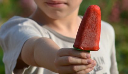 Anya lettem különkiadás: Eperfagyi egyszerűen