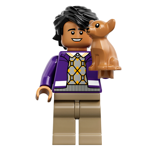 Raj Koothappali - 21302 LEGO Big Bang Theory