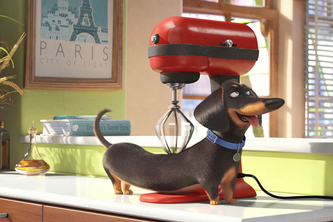 A kis kedvencek titkos élete (The Secret Life of Pets)