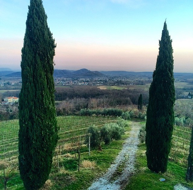 Friuli Venezia Giulia