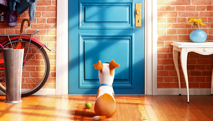 A kis kedvencek titkos élete/The Secret Life of Pets