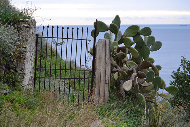 Már a kapu másik oldalán - Taormina (Fotó: Myreille)