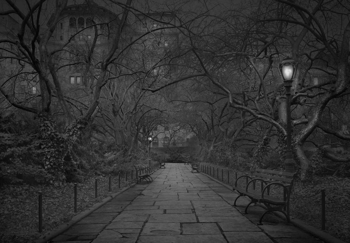 Michael-Massaia-central-park-16