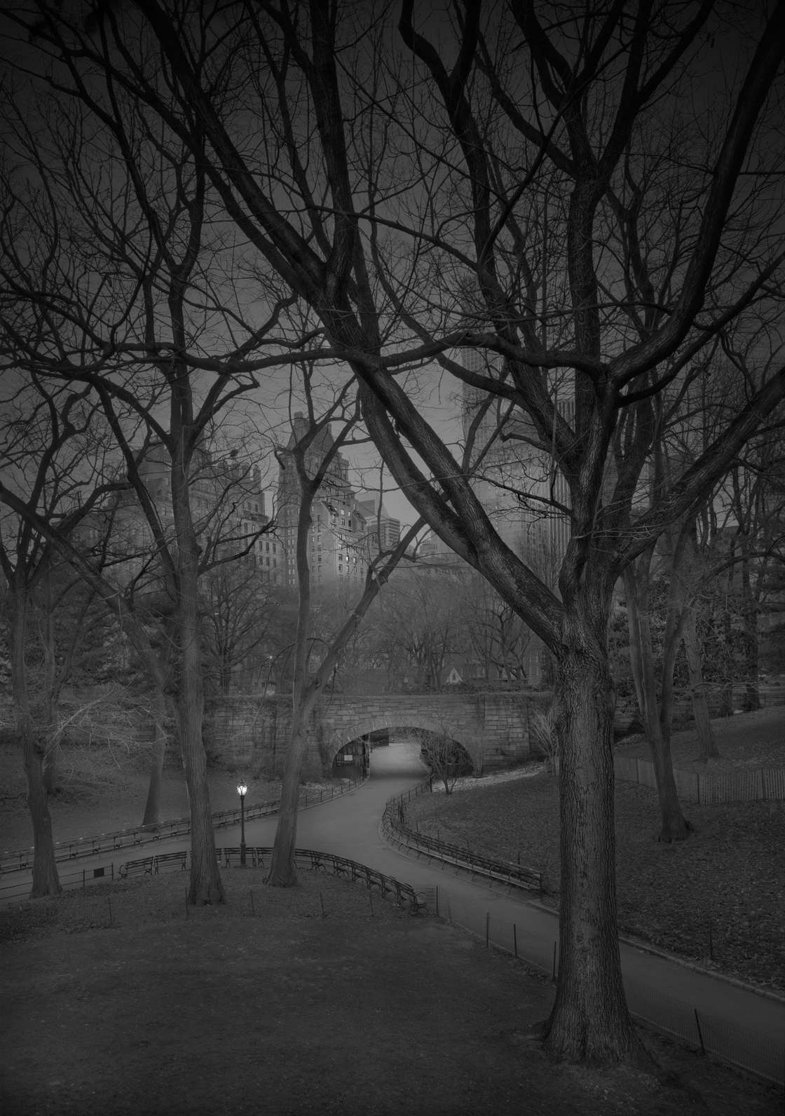 Michael-Massaia-central-park-3